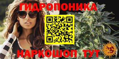 PSILOCYBIN Бузулук