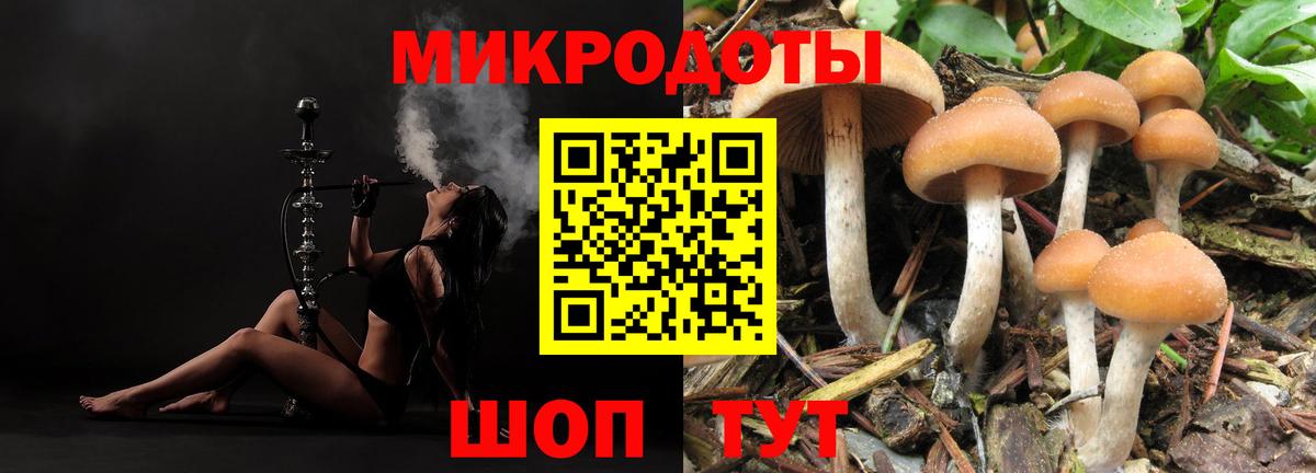 как найти закладки  Вход с VPN  Югорск  Псилоцибиновые грибы GOLDEN TEACHER 